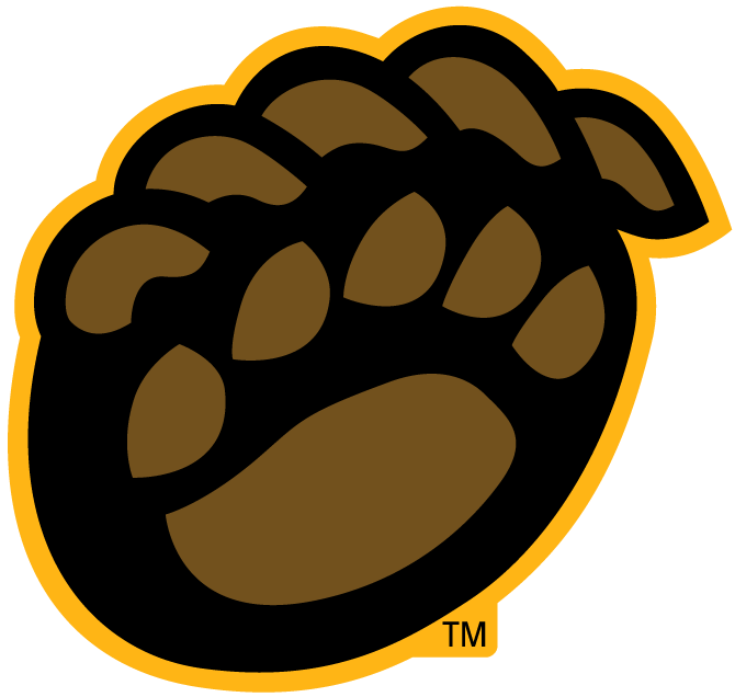 Baylor Bears 2005-Pres Alternate Logo v8 diy fabric transfer